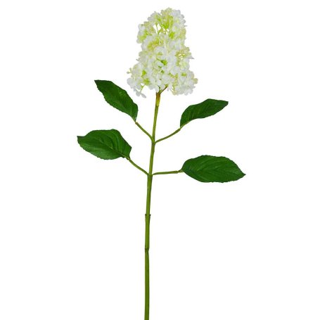 FIORE LILLA BIANCO